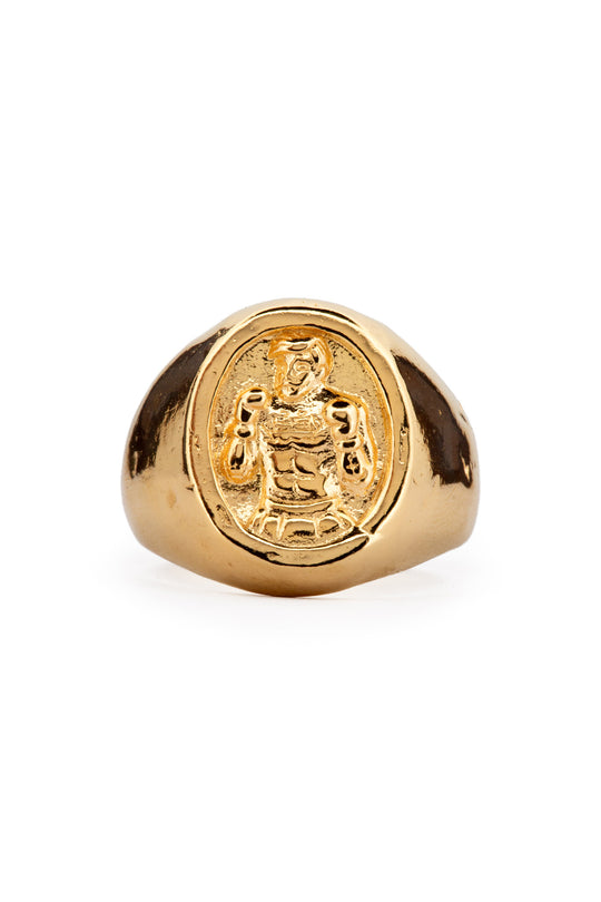 Boxer Signet | Gold
