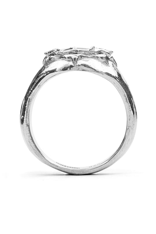 Sentinel Ring